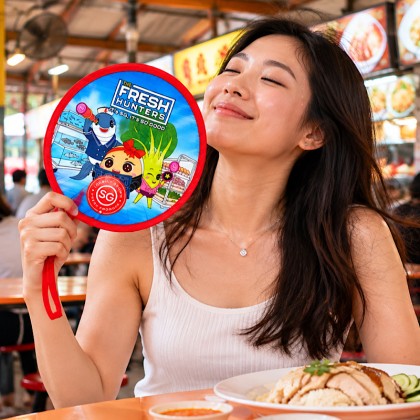 Foldable Polyester Hand Fan