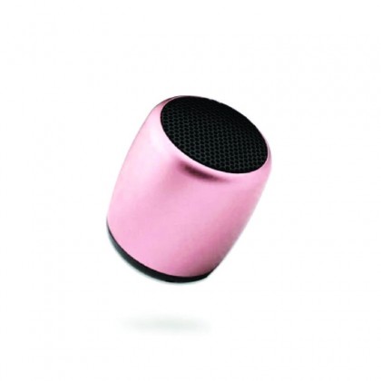 Sturdy Mini Portable Bluetooth Speaker