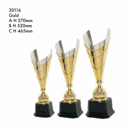 Trophy Metal Cup 3116