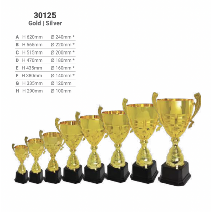 Trophy Metal Cup 30125