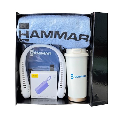 The 4-in-1 Executive Essentials Gift Set: Wellness, Hydration, and Power