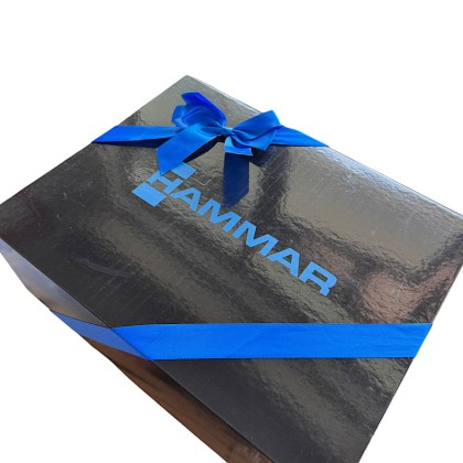 The 4-in-1 Executive Essentials Gift Set: Wellness, Hydration, and Power