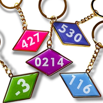 Heavy-Duty Custom Metal Room Number Keychain for Hotels, Resorts, and Executive Suites