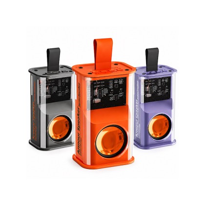 Transparent Mecha Bluetooth 5.3 Speaker with LED