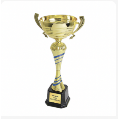 Trophies & Awards